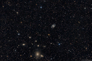 NGC1365 und Fornax Haufen