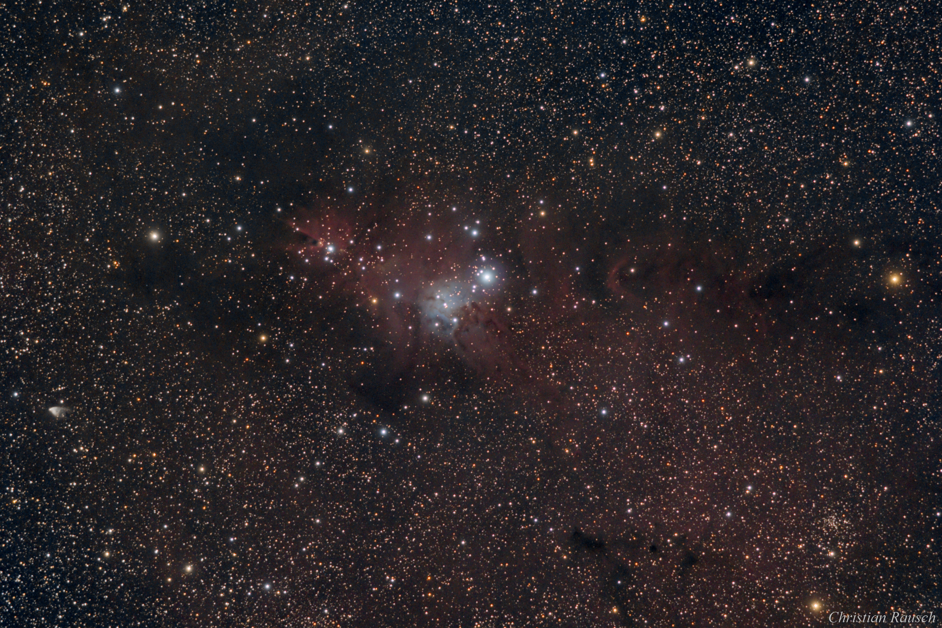NGC2264