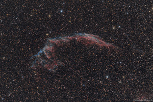 NGC6995