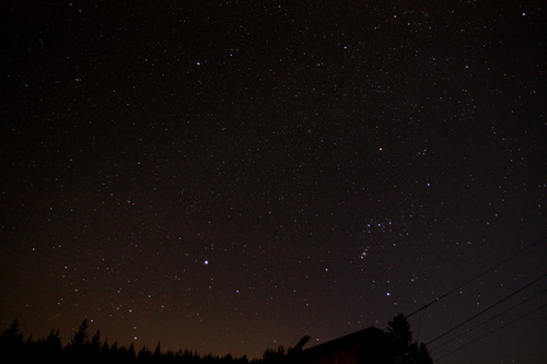 orion und canis major